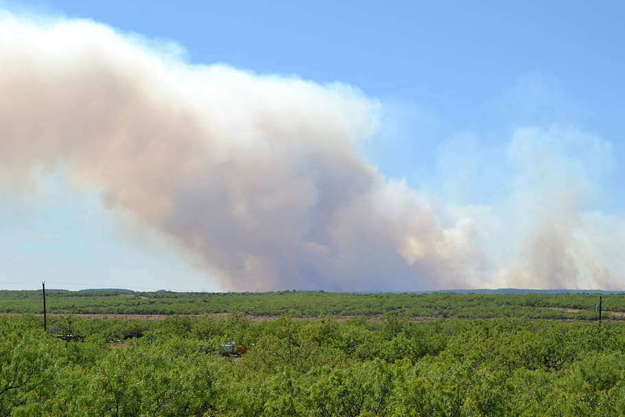 Wildfire and Smoke in Texas, cloud, fields, photos, public domain HD wallpaper