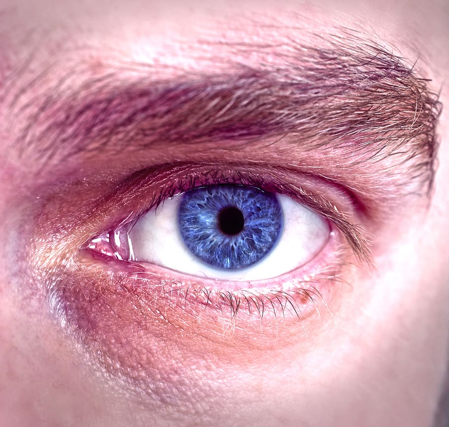 eye, blue, face, overview, eyesight, sensory perception, human eye HD wallpaper