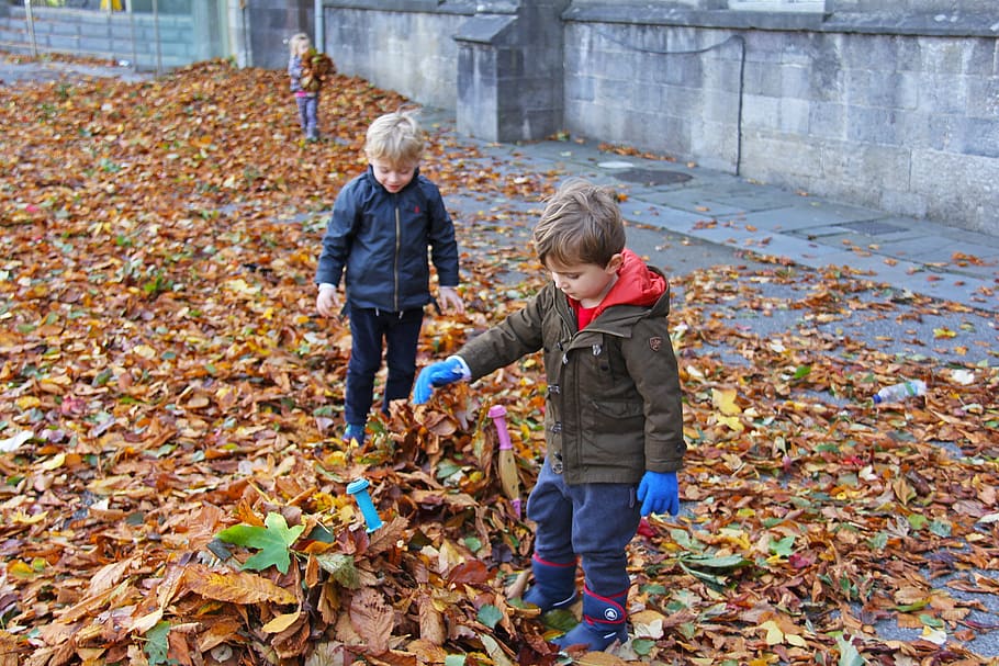 child, playing, fall, happy, fun, boy, little, nature, cute HD wallpaper