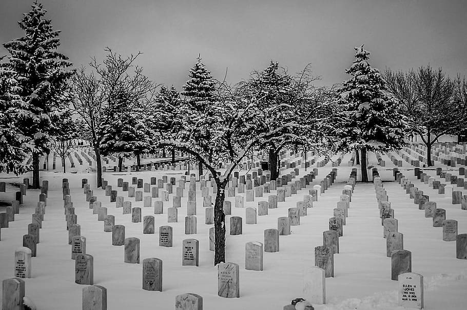 snow, cemetery, national gravesite, tree, plant, tombstone, HD wallpaper