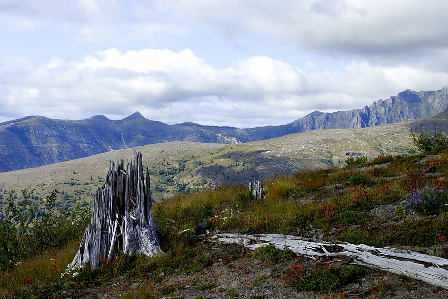 mount st helens, mountain, volcano, nature, landscape, scenics HD wallpaper