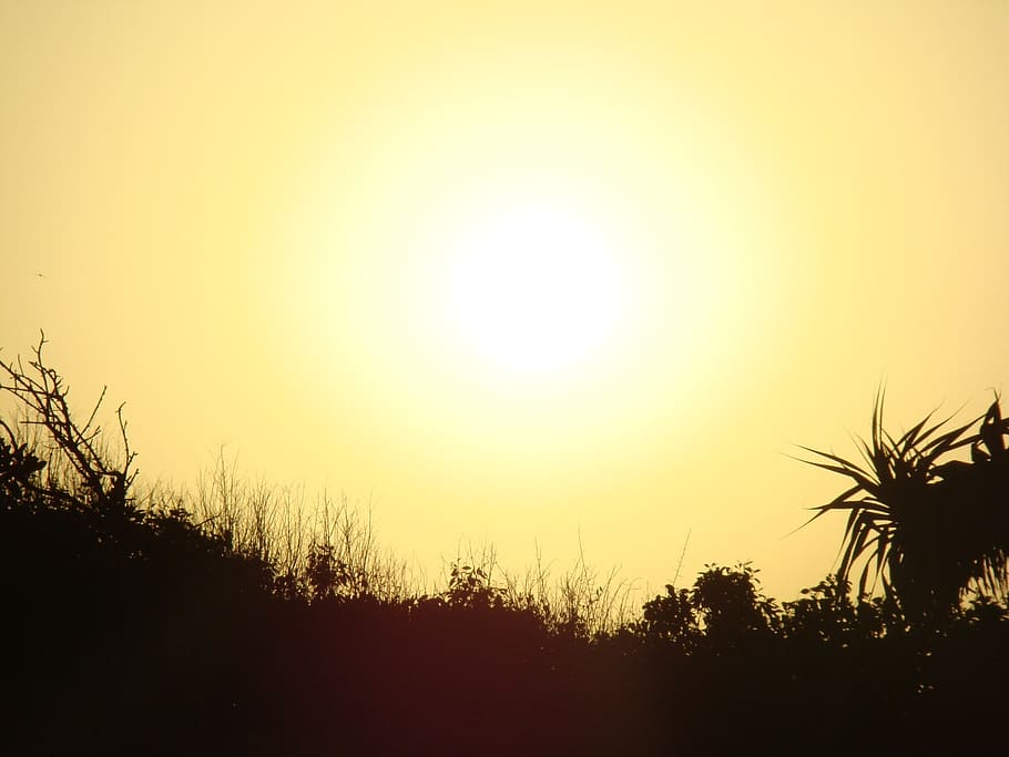 sun, sunset, yellow, fireball, golden, sunshine, sky, beauty in nature HD wallpaper