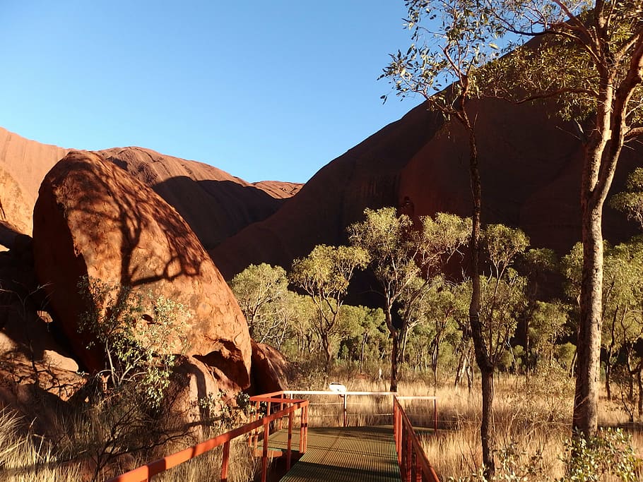 uluru, ayers rock, australia, plant, tree, mountain, sky, tranquility, HD wallpaper