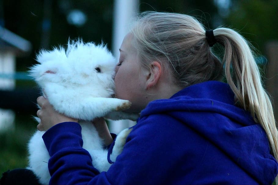 kiss, rabbit, white, cute, love, happy, girl, animal, bunny HD wallpaper