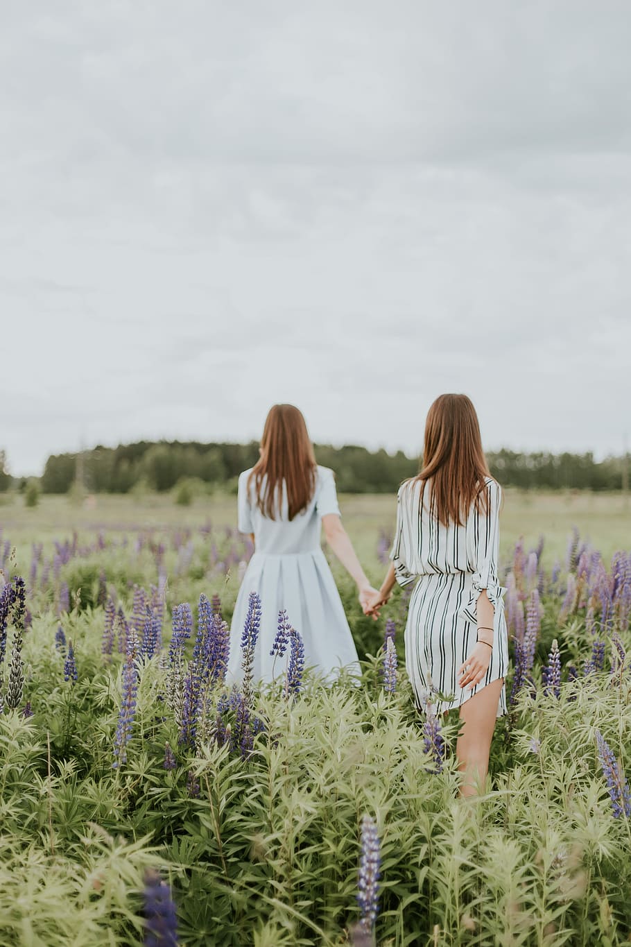 two women surrounded by lavender under nimbus clouds, two women walking in lavender flower field while holding hands at daytime
