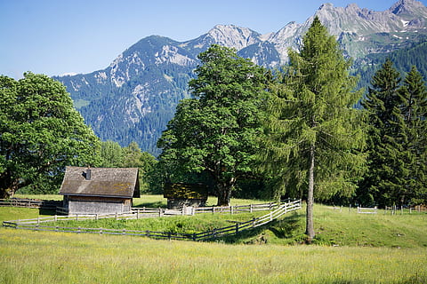 photo of gray wooden house beside green leaf trees on green grass field across mountain during daytime HD wallpaper