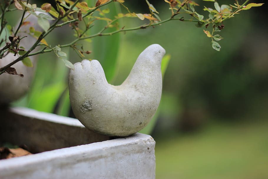 Joan collected small statues of birds. Скульптура птицы. Истукан птица. Статуя птицы. Селадон птица.