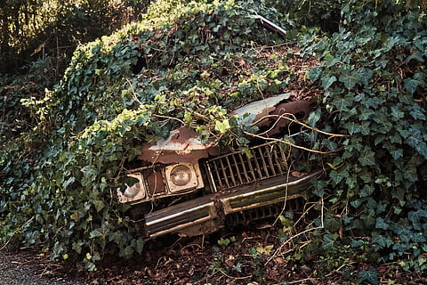 auto, cadillac, old, oldtimer, defect, classic, cars, vehicle HD wallpaper