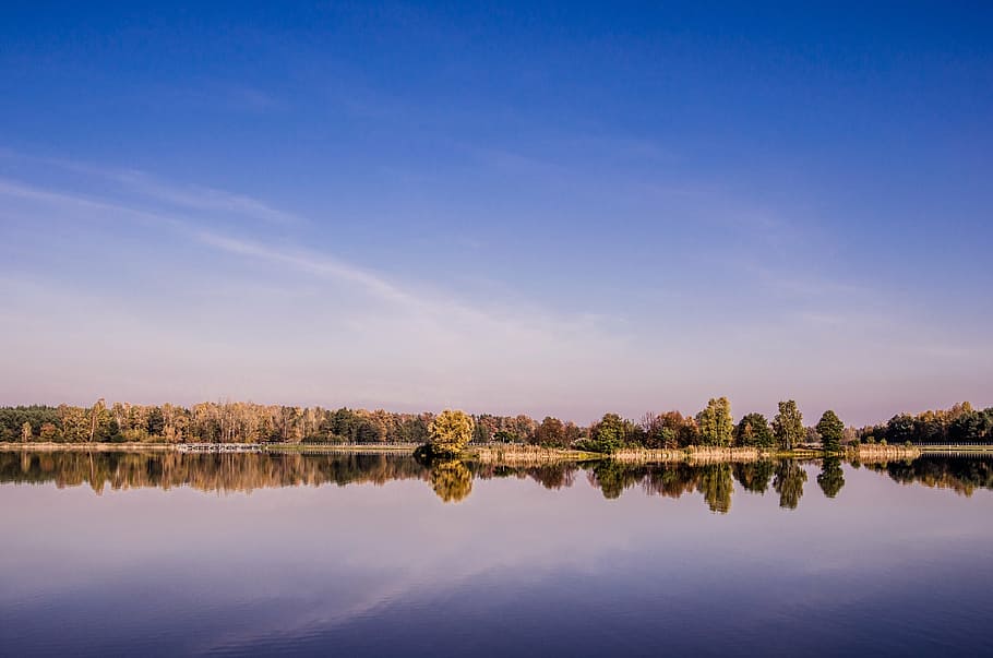 landscape, forests, sky, water, nature, tree, blue, landscapes HD wallpaper