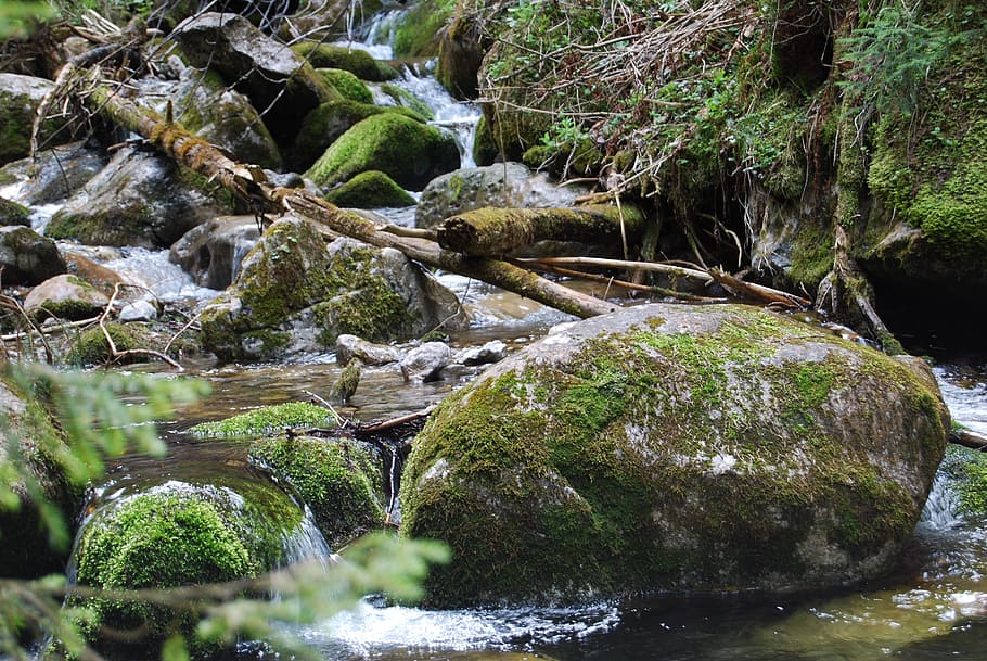 Rock, Brook, Mountains, Stone, on the trail, nature, vegetation HD wallpaper