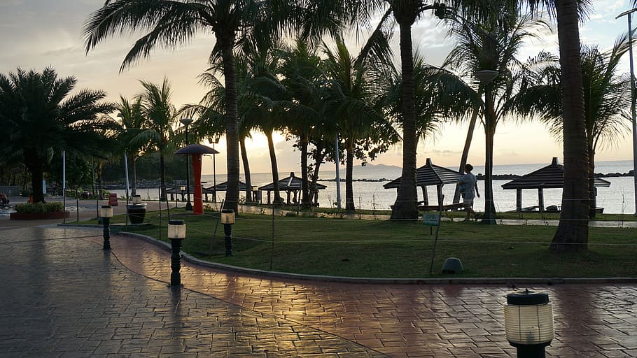 sunset, seaside, evening, resort, trees, landscape, peaceful HD wallpaper