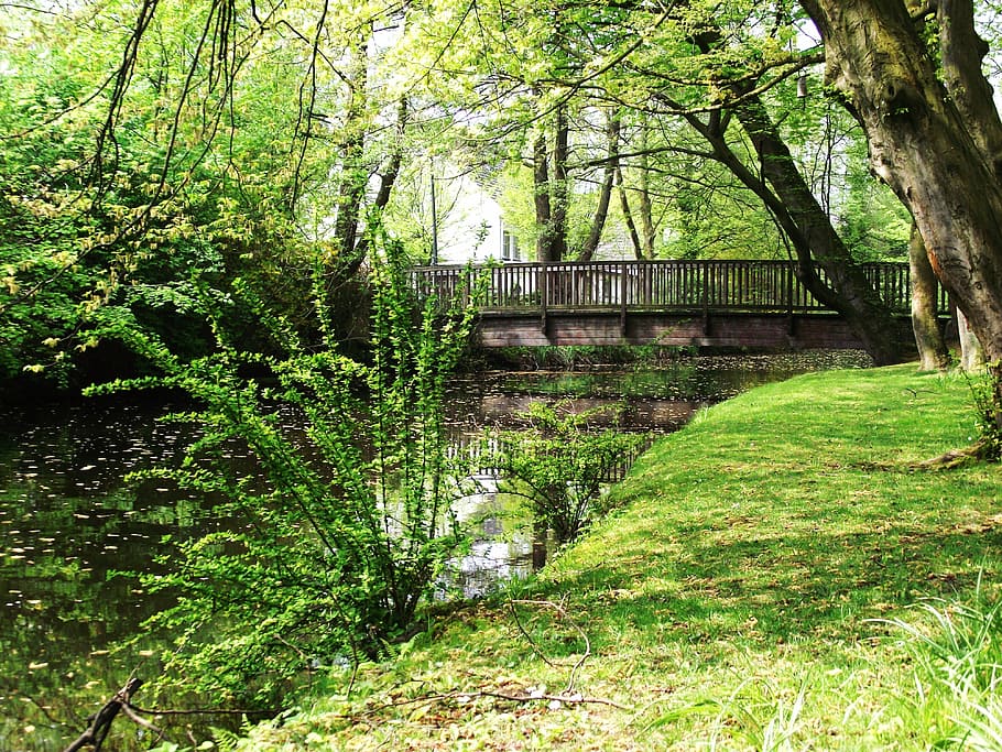 landscape, nature, water, river, rest, plant, tree, built structure HD wallpaper