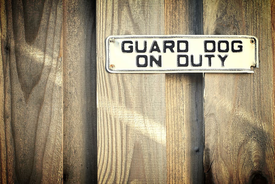 fence, sign, wood, weathered, warning, guard dog, duty, beware, HD wallpaper