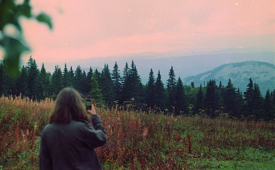 woman talking photo of forest, woman taking photo of trees and mountains HD wallpaper