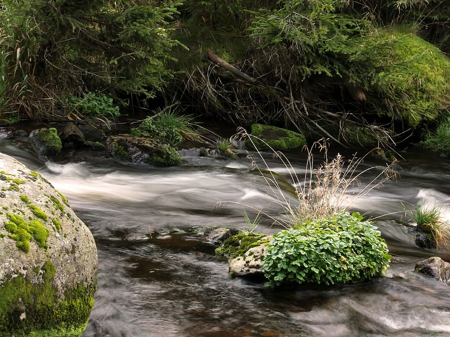 water, stone, grass, nature, stream, waterfall, river, forest HD wallpaper