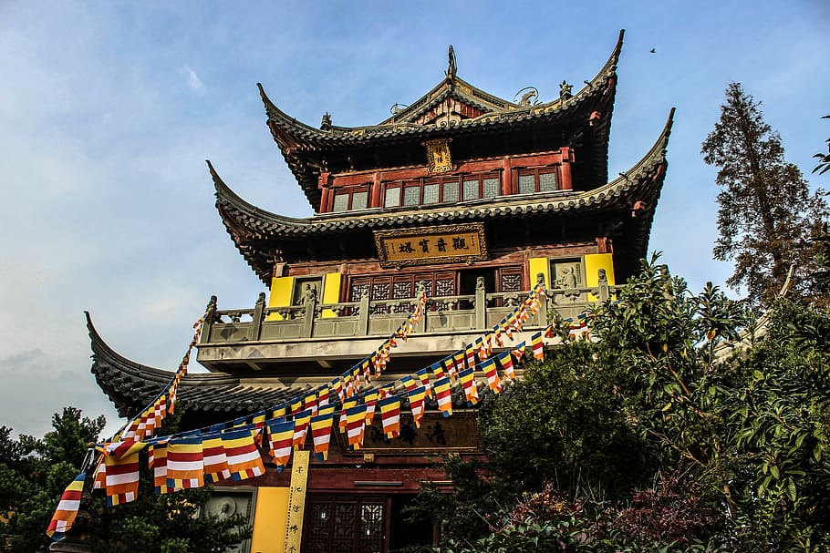 Chinese temple, gray, red, and black pagoda near trees, building HD wallpaper