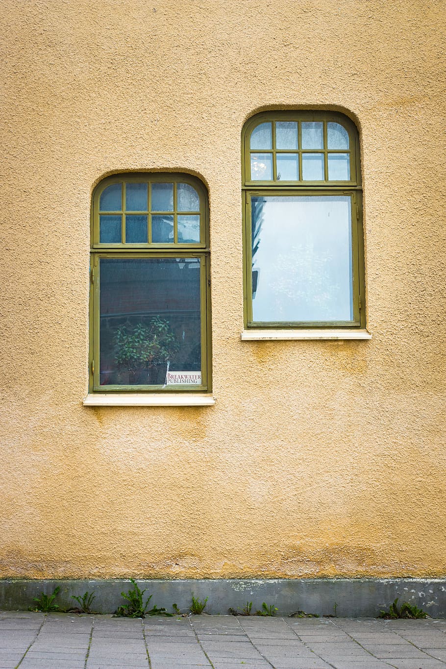 two gray frame glass windows, green metal framed glass window HD wallpaper