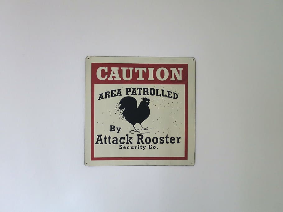 attack rooster, beware sign, warning, text, communication, western script HD wallpaper