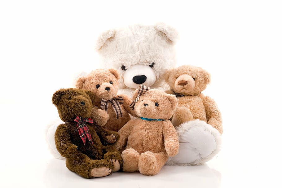 five assorted-color bear plush toys, misiek, the mascot, studio