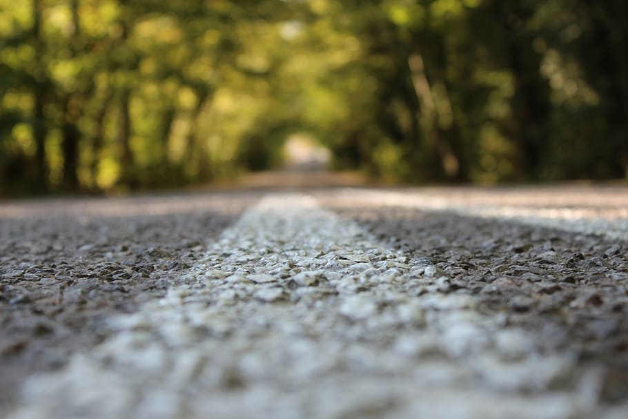 road, green, state-of, selective focus, transportation, plant HD wallpaper