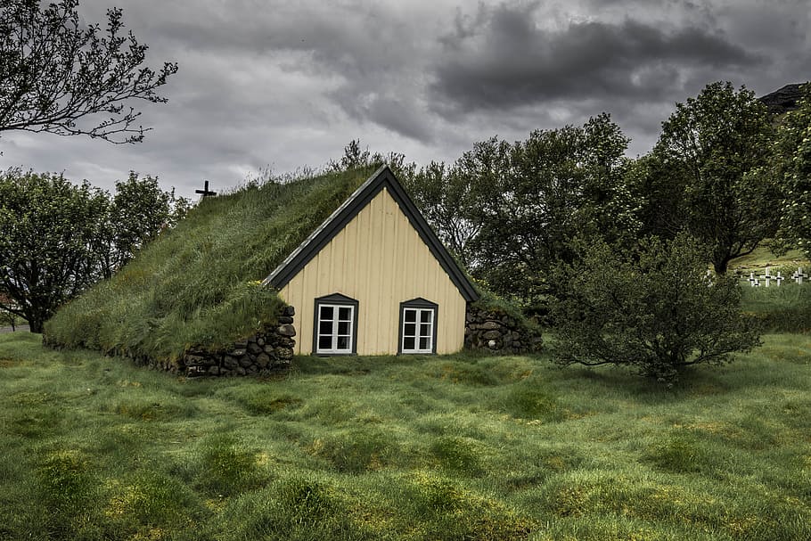 brown wooden house surrounded with green trees under gray clouds, brown and white house covered by grass surrounded by tree under humid weather HD wallpaper