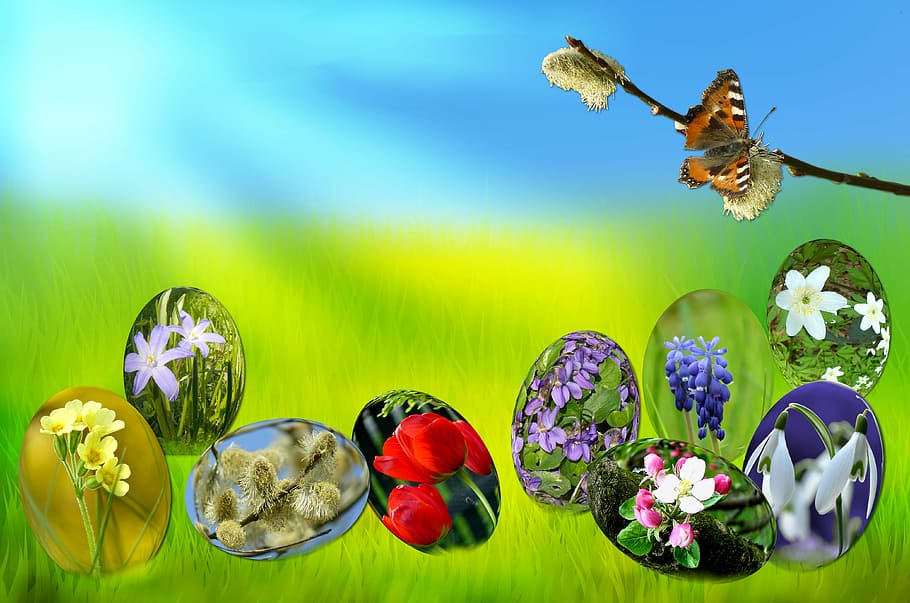 Easter, Eggs, Spring, Sun, Grass, Green, sky, blue, light, primrose, HD wallpaper