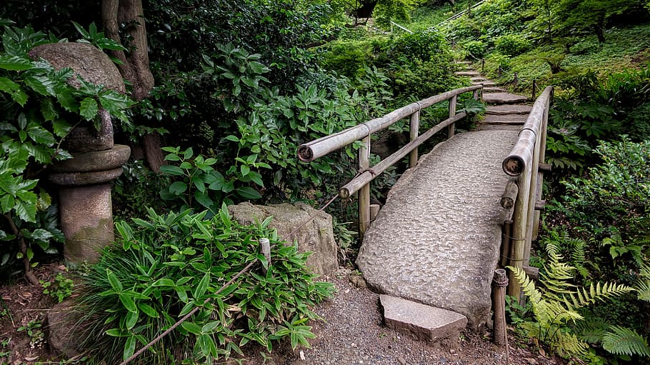 brown wooden bridge surrounded by plants, japanese, garden, landscape, HD wallpaper