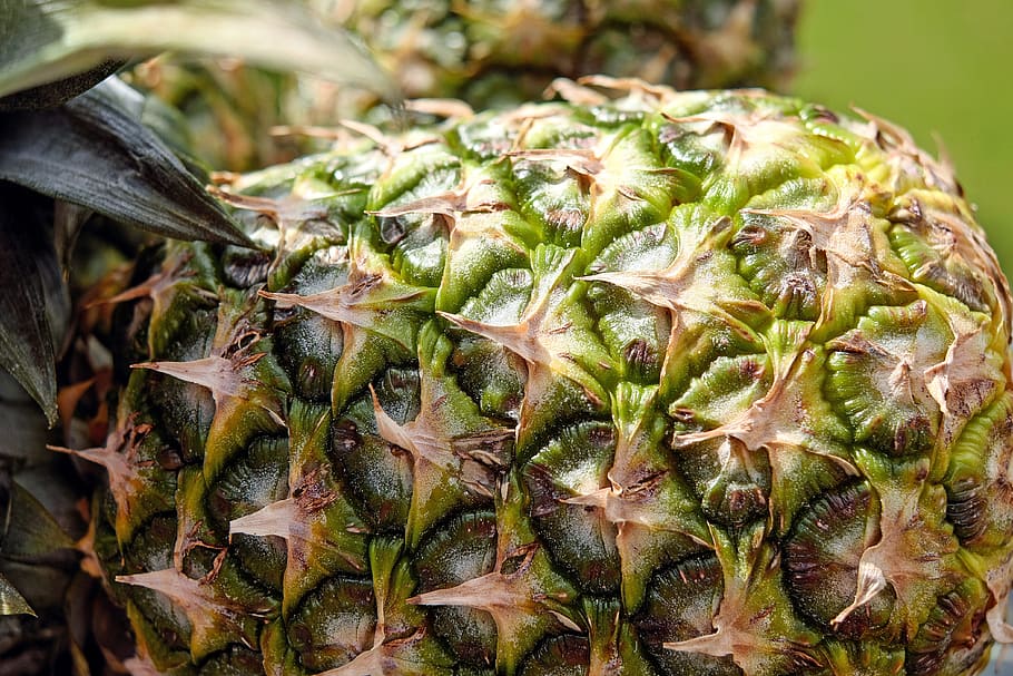 pineapple, fruit, texture, pattern, brown, green, tropical HD wallpaper