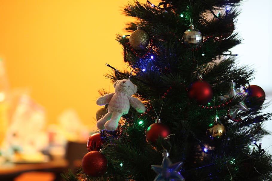 christmas, tree, bear, decoration, celebration, christmas Tree HD wallpaper