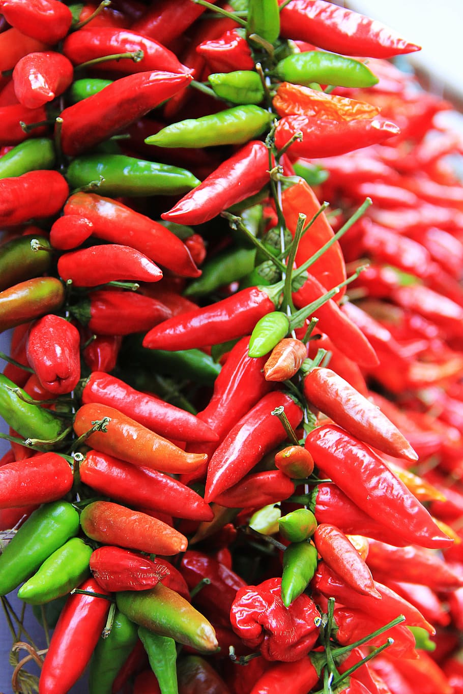 chili, sharp, red, spice, pods, chili peppers, food, pepper crop HD wallpaper
