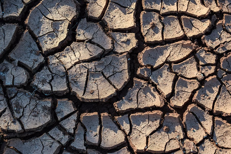 drought, aridity, aridness, nature, dry, climate, surface, terrain, HD wallpaper