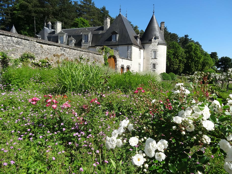 loire valley, castle, france, plant, built structure, architecture, HD wallpaper