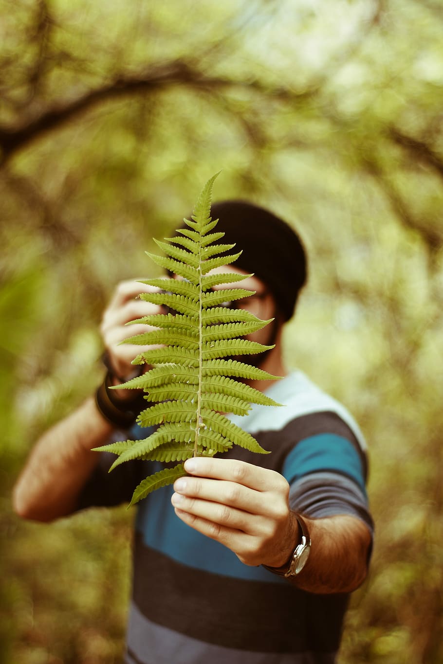 man holding fern plant selective focus photography, person holding green linear leaf HD wallpaper