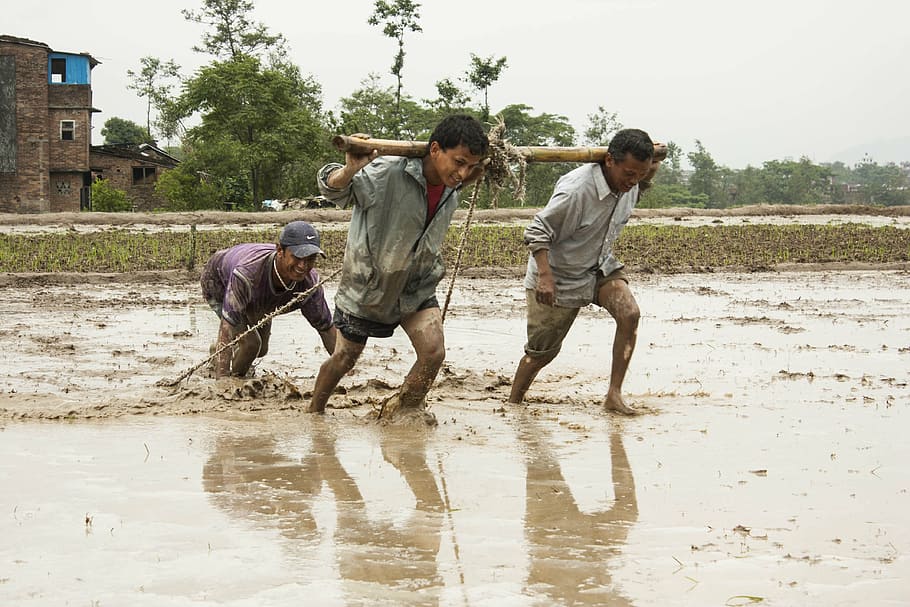 three men standing on mud during daytime, human efforts, men at work, HD wallpaper