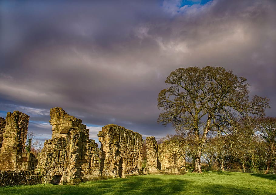 abandoned architectural structure near tree, abbey, basingwork HD wallpaper