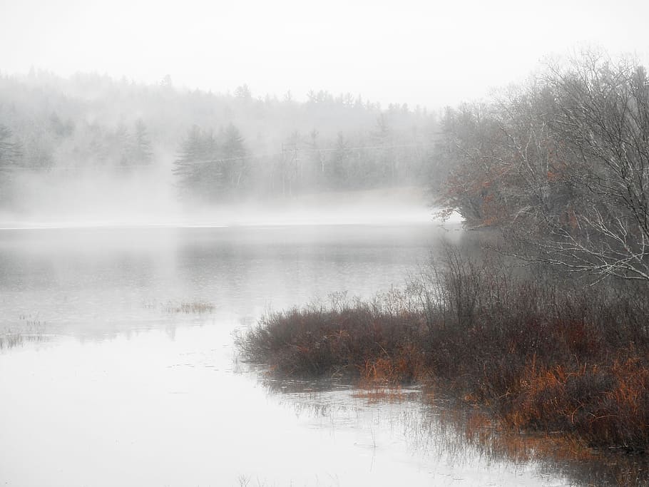fog, mist, water, landscape, tree, tranquility, plant, scenics - nature HD wallpaper