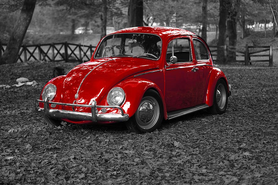 HD wallpaper: red Volkswagen beetle, vw, bug, vintage, vehicle, old
