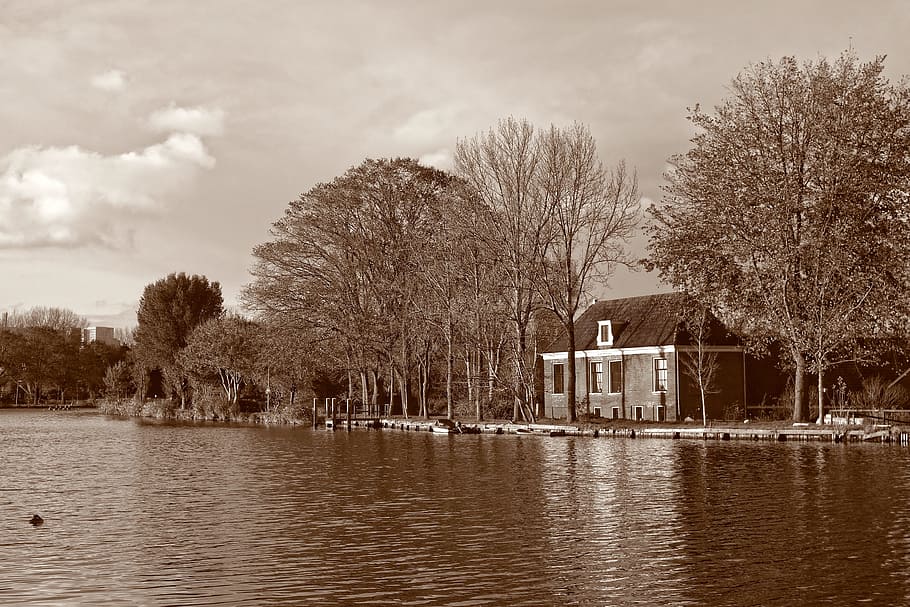 body of water during daytime, river, farm, trees, landscape HD wallpaper