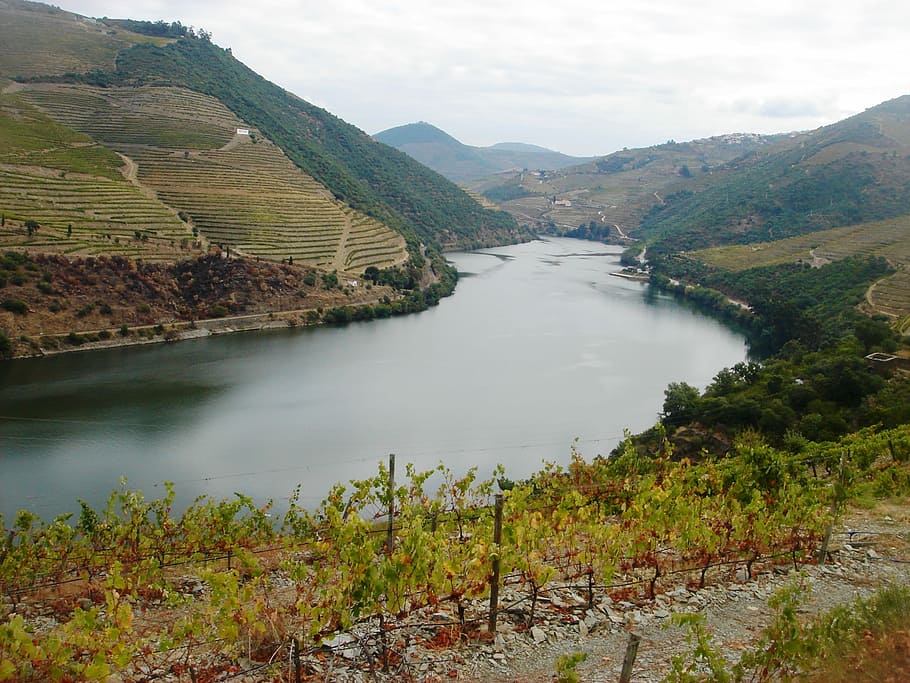 River Douro, Douro Vineyards, douro landscape, mountain, nature, HD wallpaper