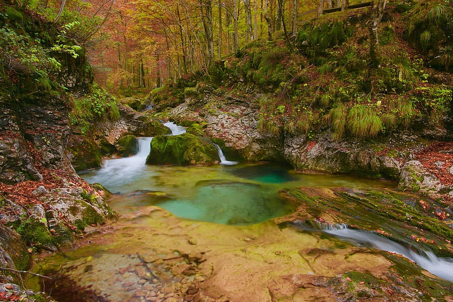 forest, watercourse, autumn, colors, landscape, autumn woods, HD wallpaper