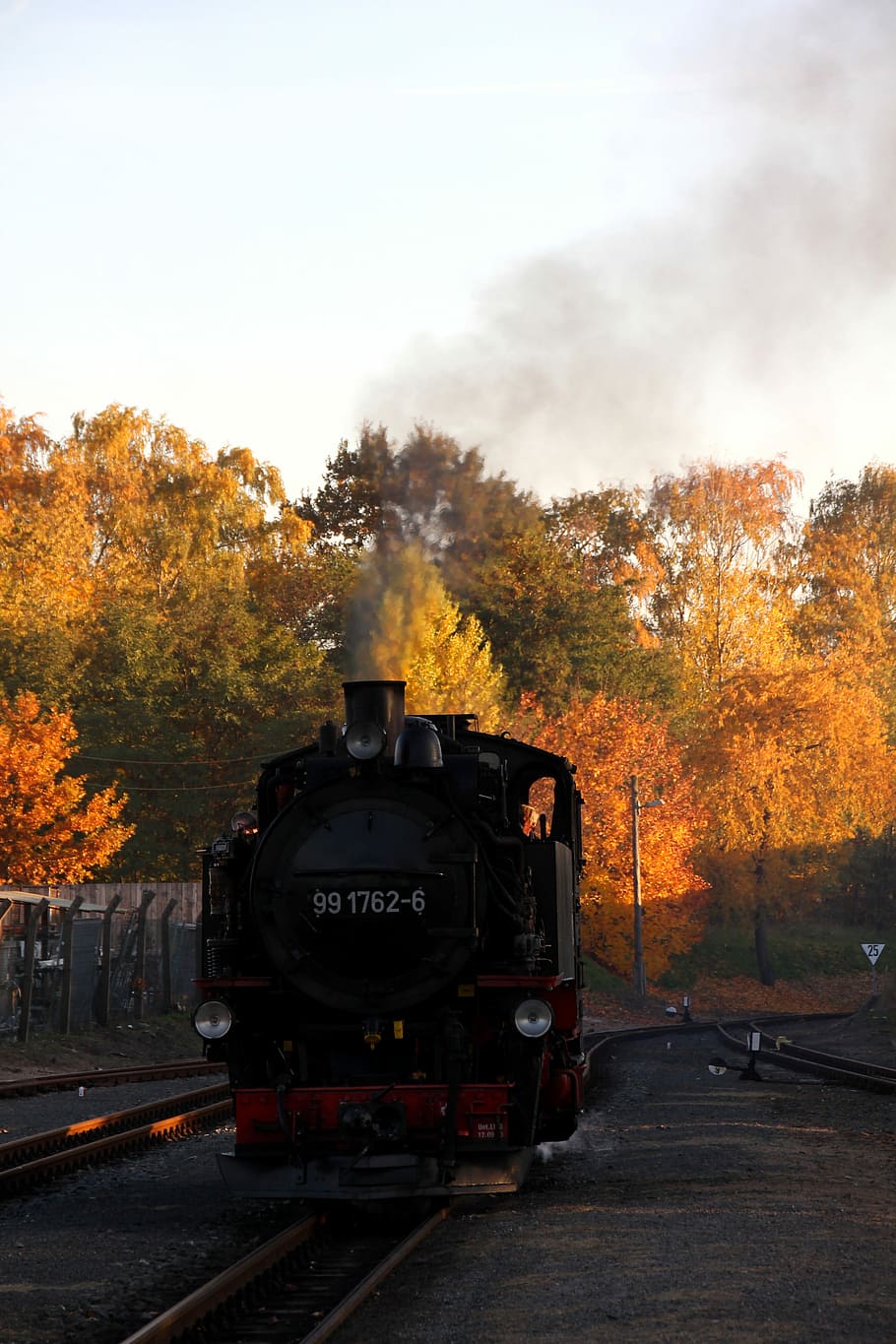 Steam Locomotive, Gauge, Autumn, narrow gauge, train, rail traffic