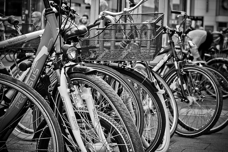grasycale photo of bikes, Wheel, Cycling, Bicycles, transport