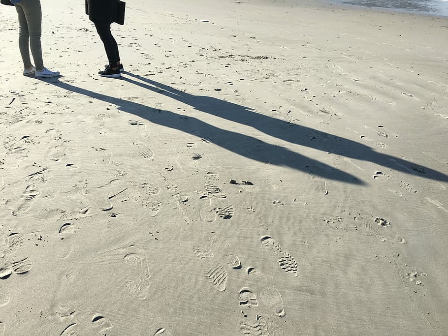 Beach, Walk, Spring, Sun, Sand, footprints, galicia, ducks HD wallpaper