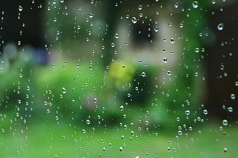 Rain, Drop, Window, Water, drop water, green color, wet, backgrounds HD wallpaper