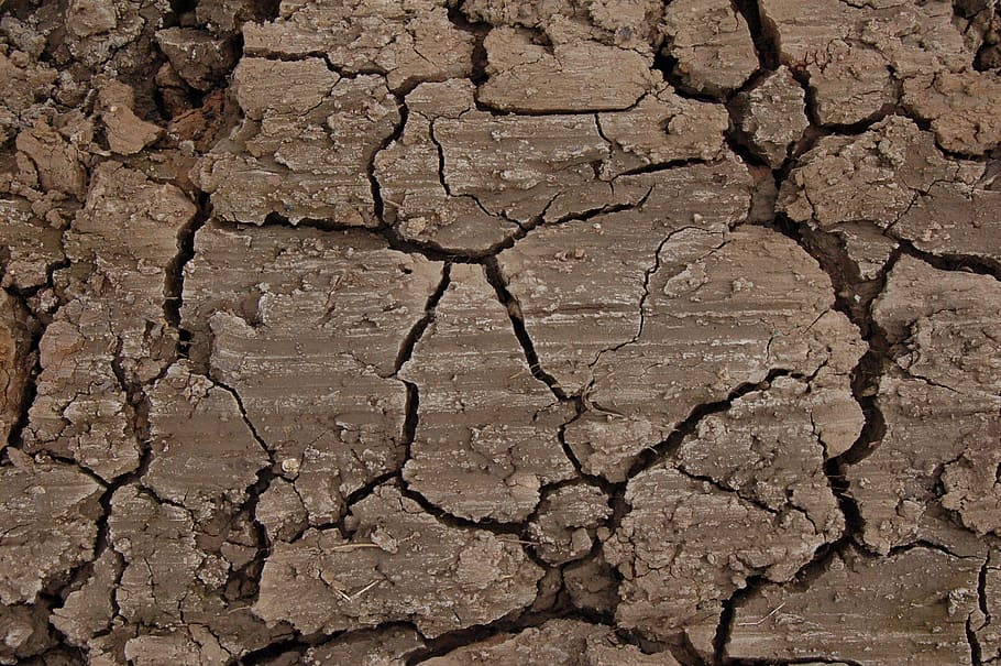 brown stone, land, ground, crack, dry, clay, road, cracked HD wallpaper
