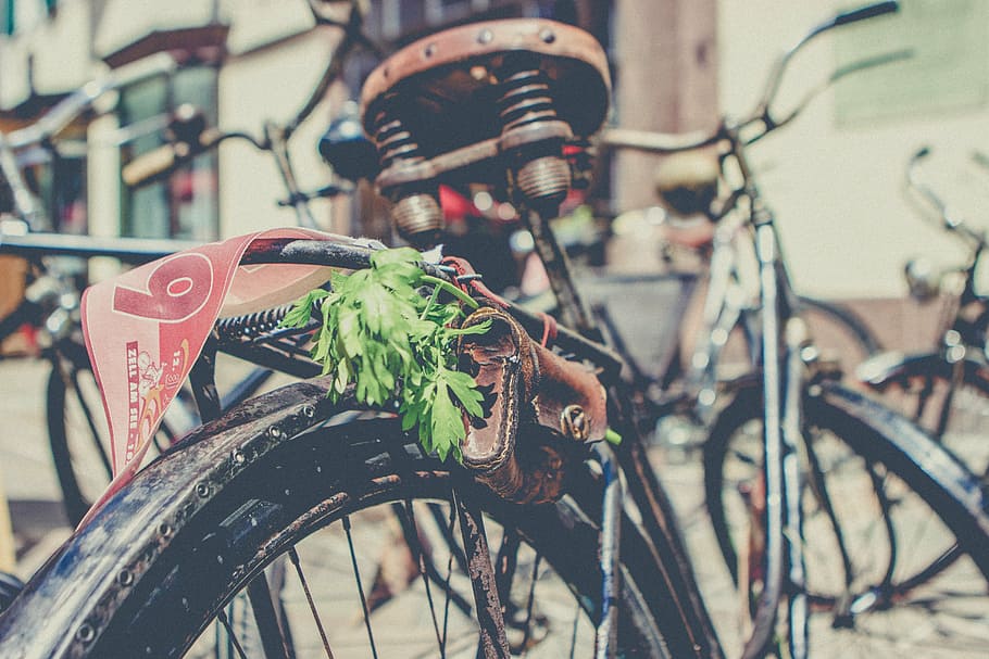 brown and gray bicycle, tire, old, rusty, green, leaves, leather HD wallpaper