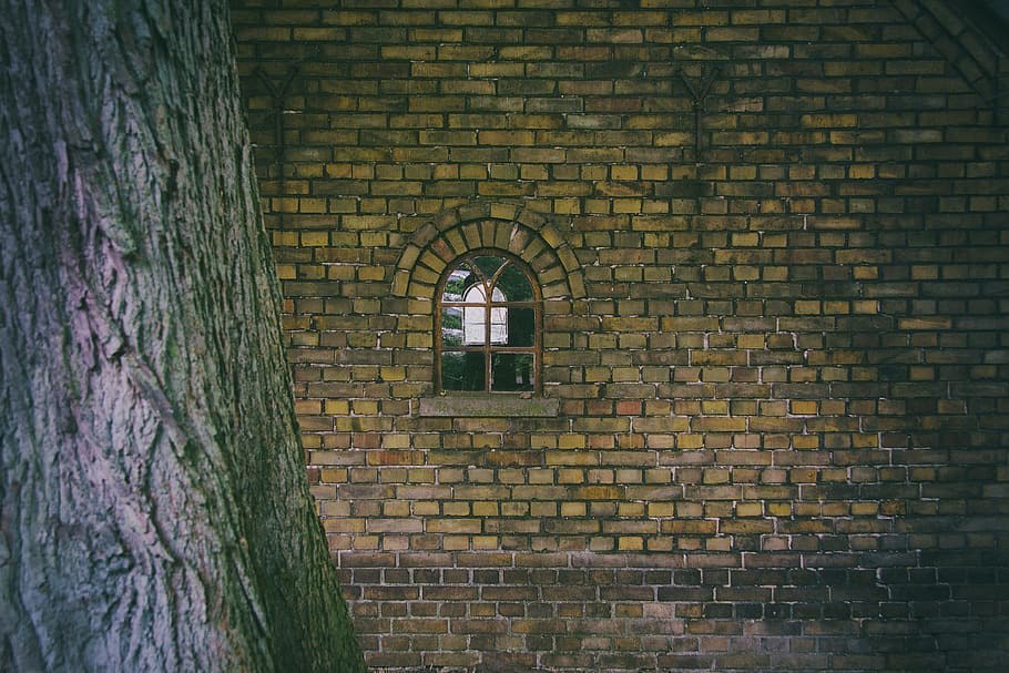 Window of the old house near the tree, architecture and Cityscape HD wallpaper