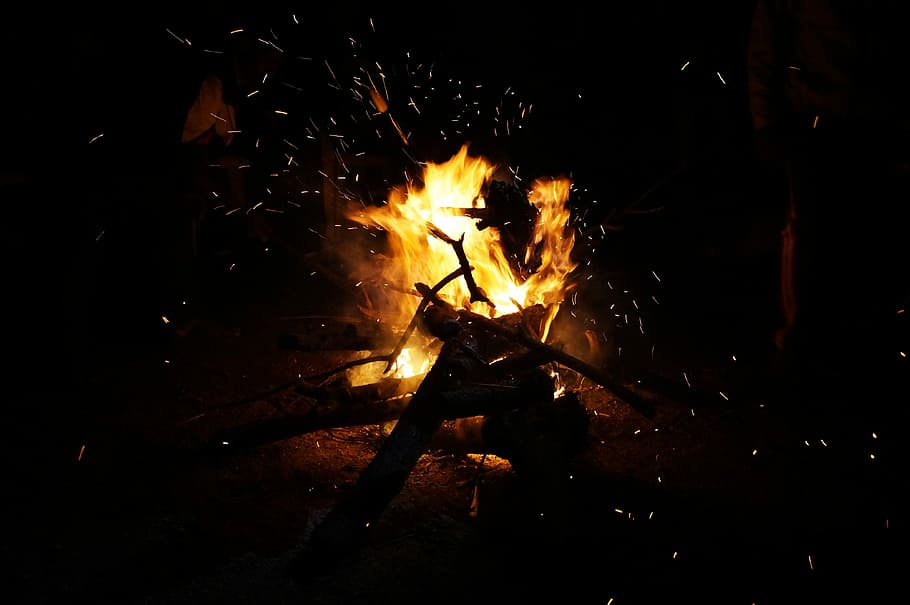 Campfire, Friends, Fun, Group, Camping, travel, forest, vacation HD wallpaper