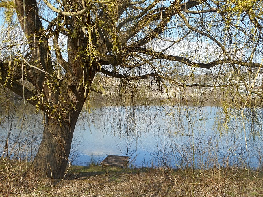 Landscape, River, Water, Tree, more, large, country, nature HD wallpaper