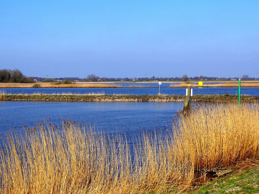 Netherlands, Scenic, Clouds, sky, wetland, lake, water, plants HD wallpaper